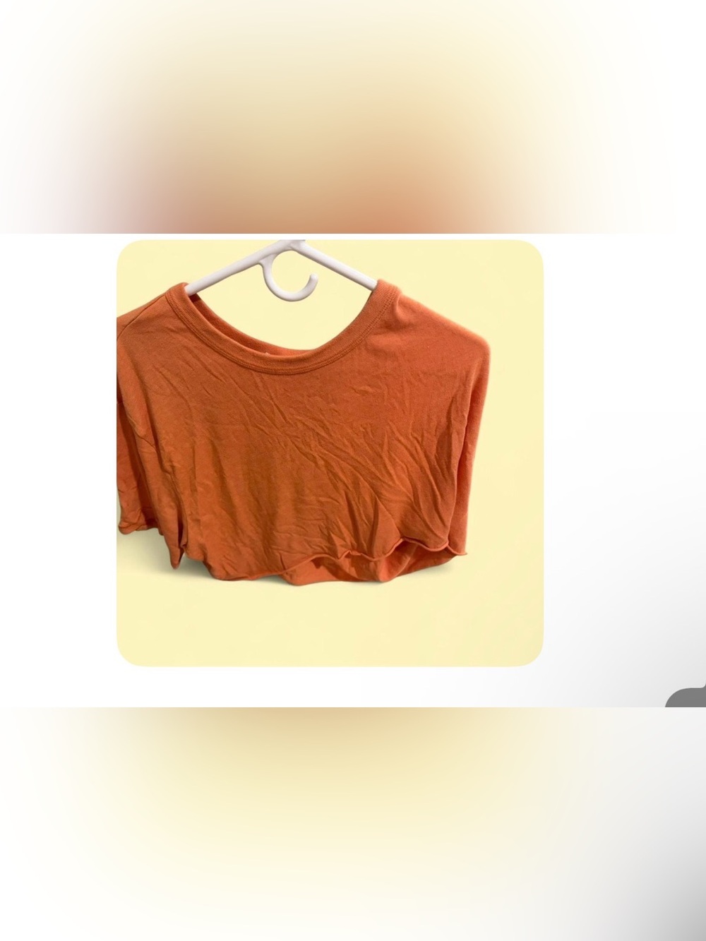 Alternative Burnt Orange Cropped Short Sleeve Top